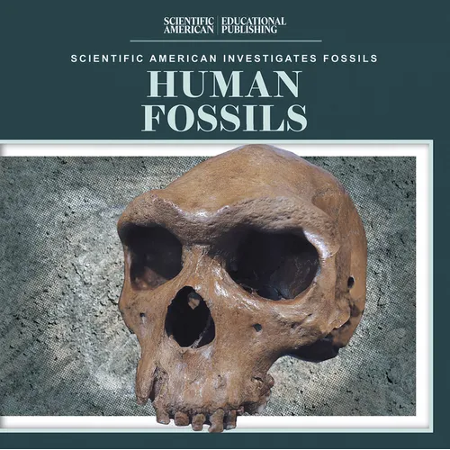Human Fossils