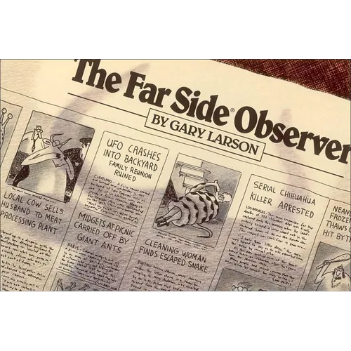 The Far Side(r) Observer