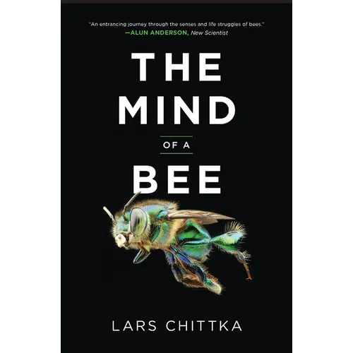 The Mind of a Bee