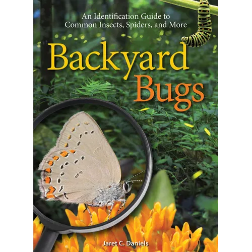Backyard Bugs: An Identification Guide to Common Insects, Spiders, and More