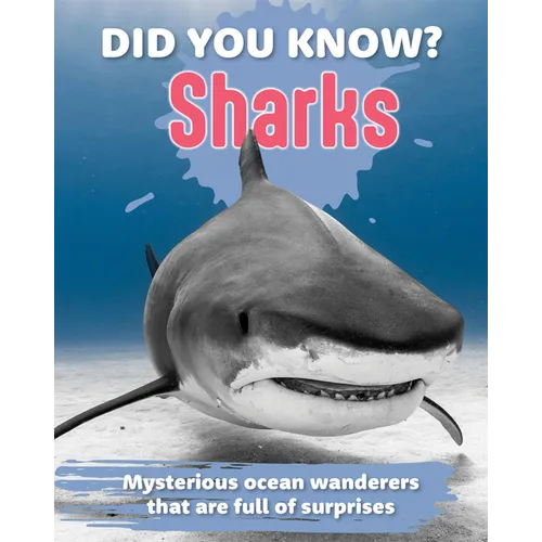 Did You Know? Sharks: Mysterious Ocean Wanderers That Are Full of Surprises