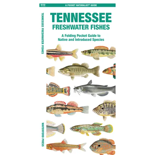 Tennessee Freshwater Fishes