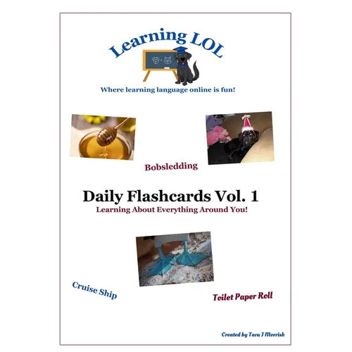 Daily Flashcards Vol. 1: Learning About Everything Around You!