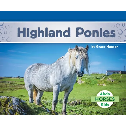 Highland Ponies