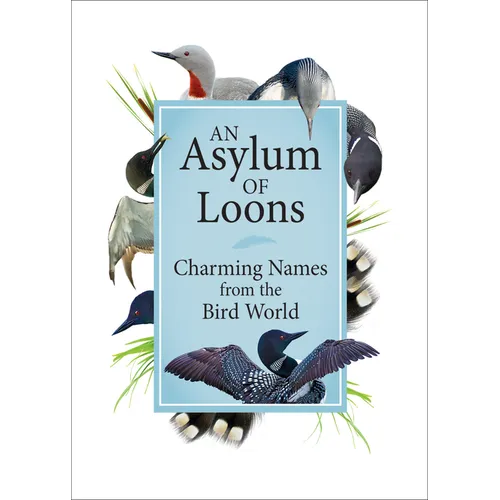 An Asylum of Loons: Charming Names from the Bird World