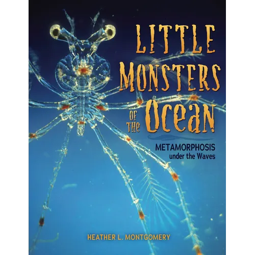 Little Monsters of the Ocean: Metamorphosis Under the Waves