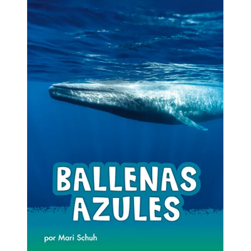 Ballenas Azules (Blue Whales)