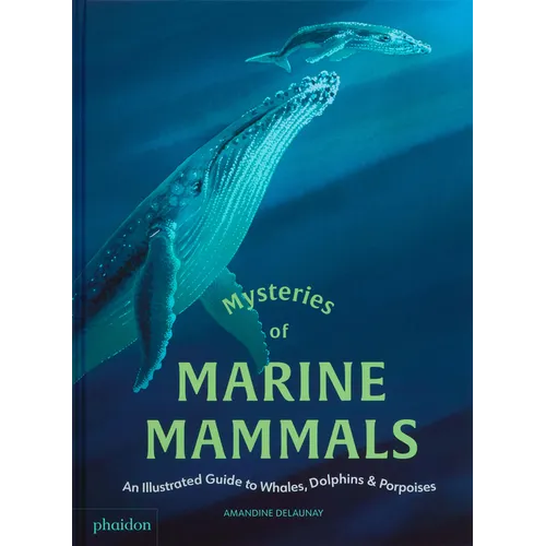 Mysteries of Marine Mammals: An Illustrated Guide to Whales, Dolphins, and Porpoises