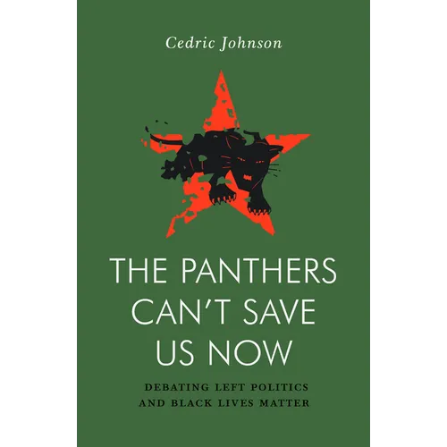 The Panthers Can't Save Us Now: Debating Left Politics and Black Lives Matter