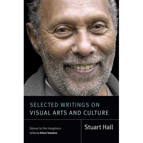Selected Writings on Visual Arts and Culture: Detour to the Imaginary