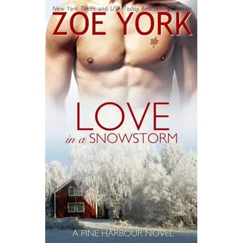 Love in a Snowstorm