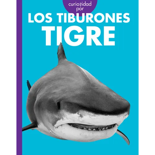 Curiosidad Por Los Tiburones Tigre