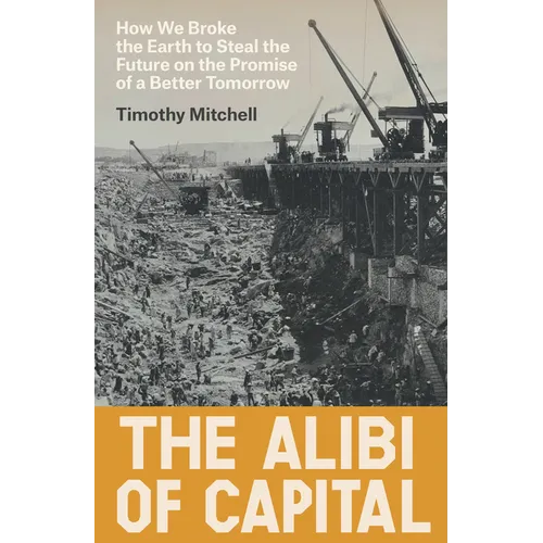 The Alibi of Capital: How We Broke the Earth to Steal the Future on the Promise of a Better Tomorrow