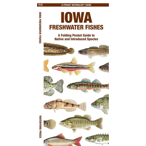 Iowa Freshwater Fishes: A Folding Pocket Guide to Native and Introduced Species