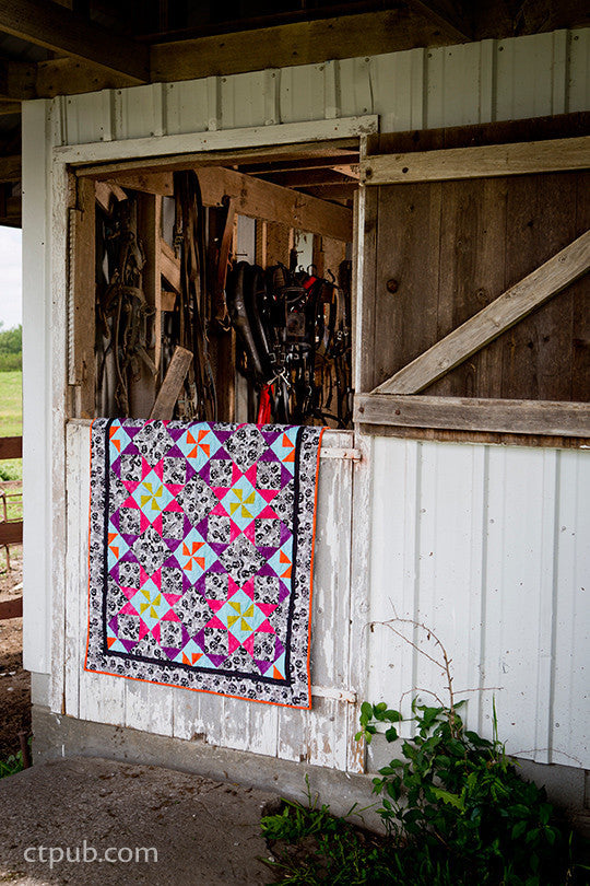 Amish-Inspired Quilts for Today's Home Book