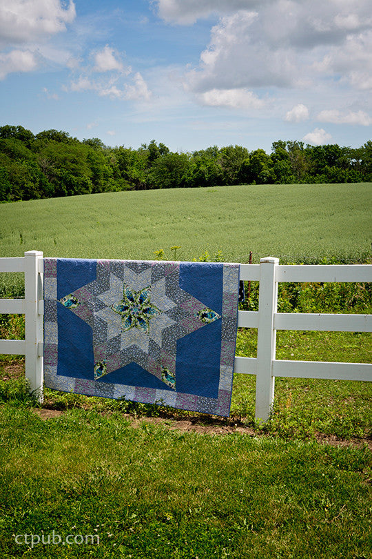 Amish-Inspired Quilts for Today's Home Book