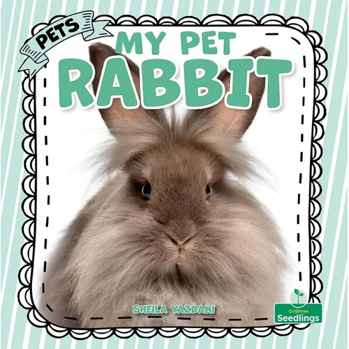My Pet Rabbit