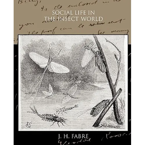 Social Life in the Insect World
