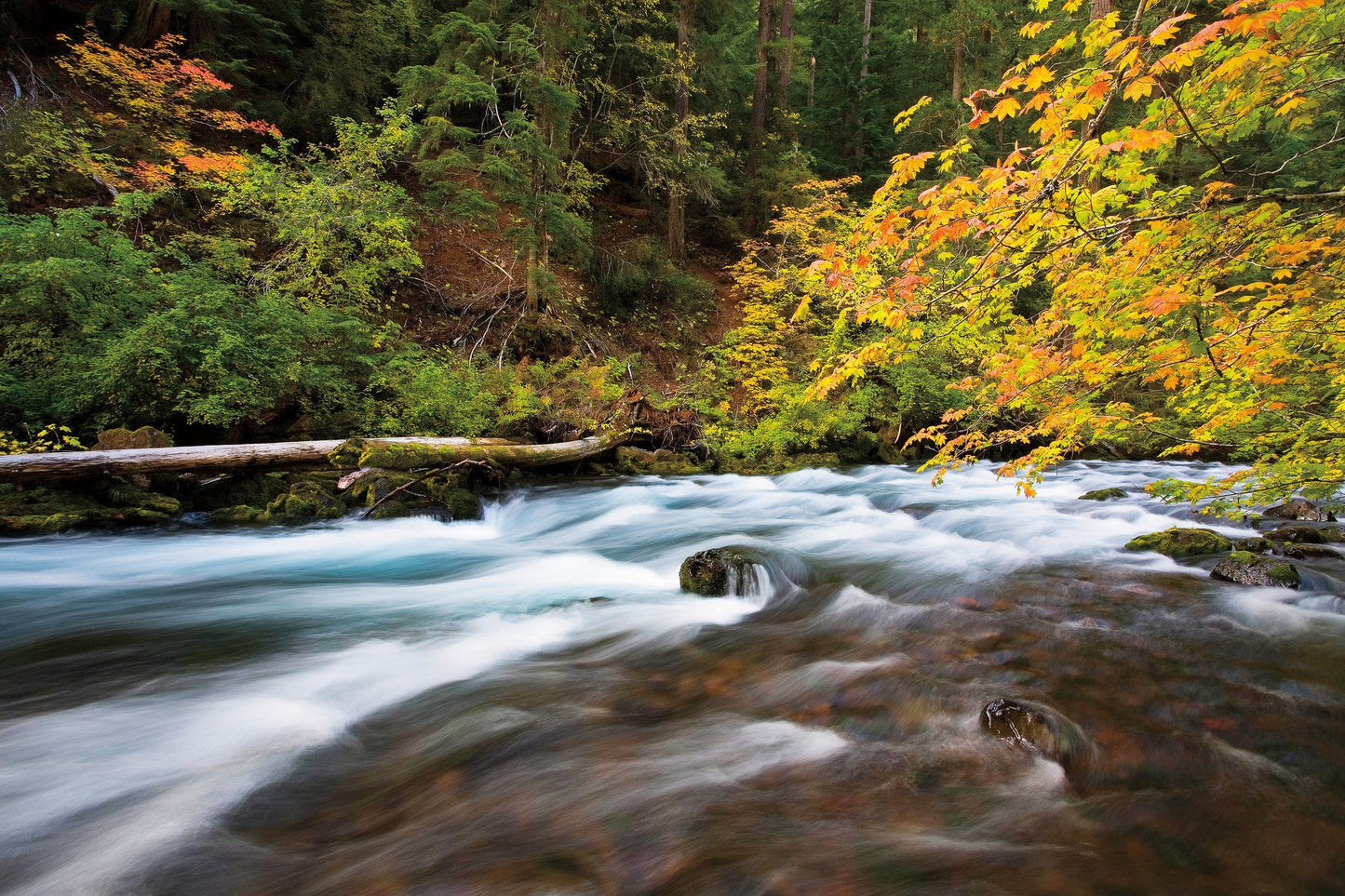 Capture Central Oregon Book