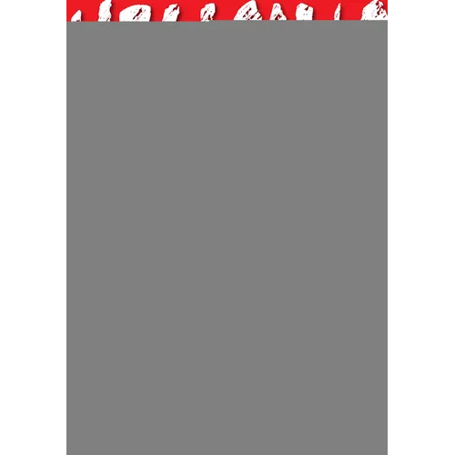 Hellsing Volume 6 (Second Edition)