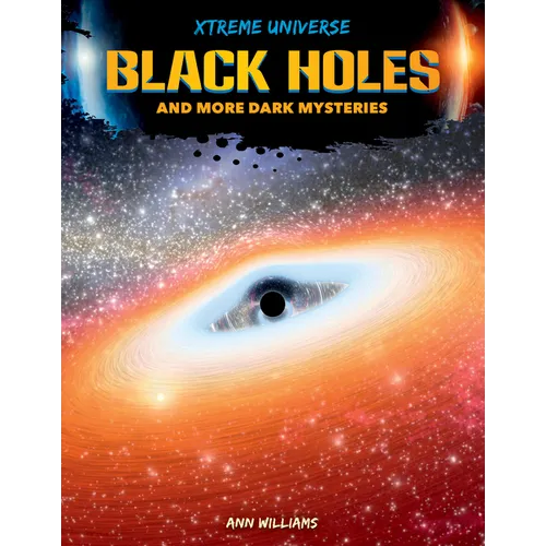 Black Holes and More Dark Mysteries