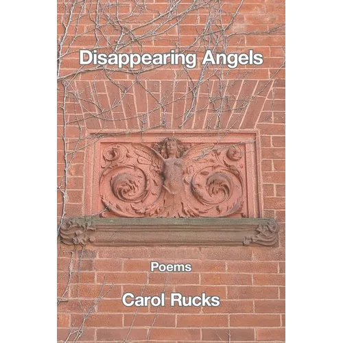 Disappearing Angels