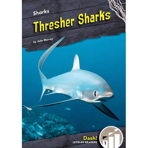 Thresher Sharks