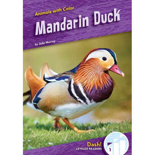 Mandarin Duck