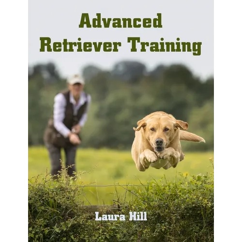 Advanced Retriever Training
