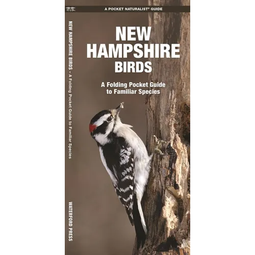 New Hampshire Birds: A Folding Pocket Guide to Familiar Species