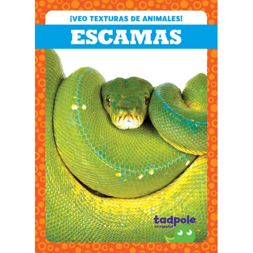 Escamas (Scales)