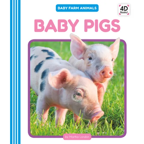 Baby Pigs