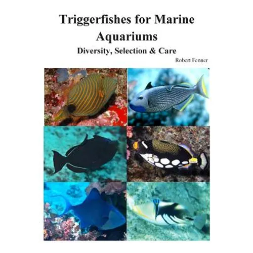 Triggerfishes for Marine Aquariums: Diversity, Selection & Care