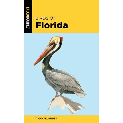 Birds of Florida