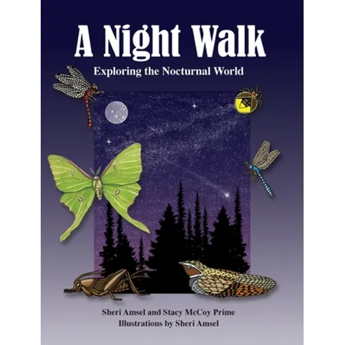 A Night Walk: Exploring the Nocturnal World