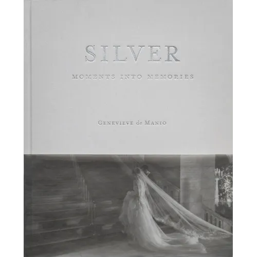 Silver: Moments Into Memories