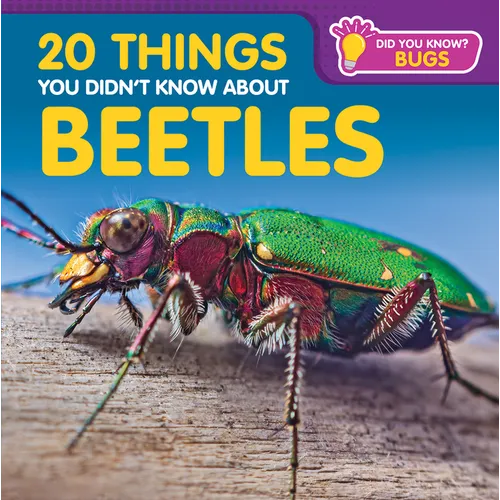 20 Things You Didn't Know about Beetles