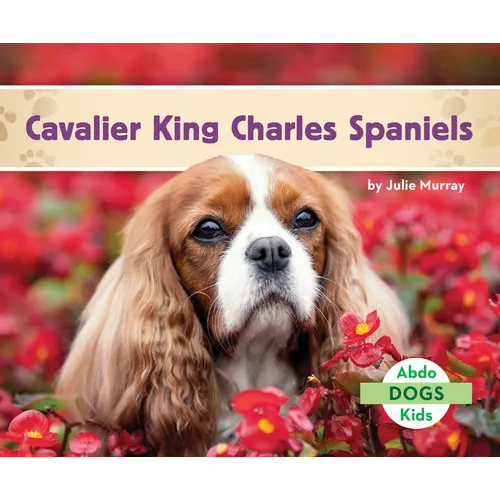 Cavalier King Charles Spaniels