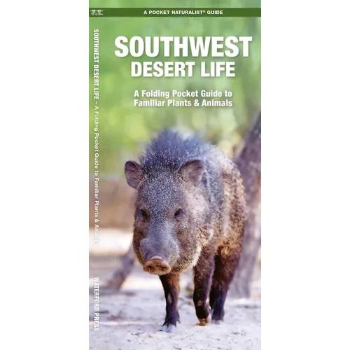 Southwest Desert Life: A Folding Pocket Guide to Familiar Plants & Animals
