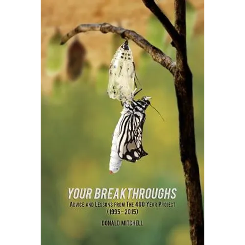 Your Breakthroughs: Advice and Lessons from The 400 Year Project (1995-2015)