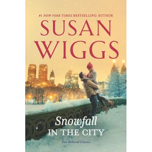 Snowfall in the City