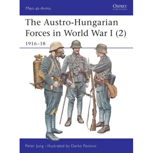 The Austro-Hungarian Forces in World War I (2): 1916-18