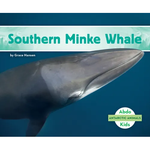 Southern Minke Whale