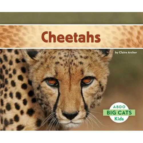Cheetahs