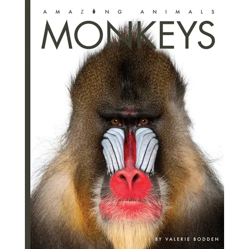 Monkeys