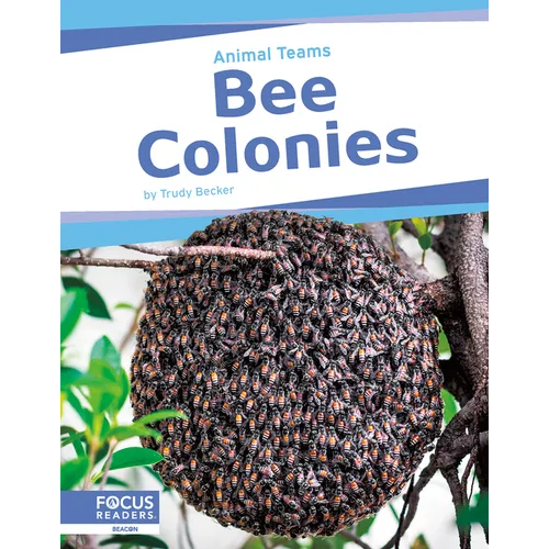 Bee Colonies