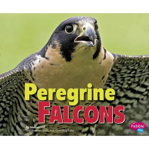Peregrine Falcons