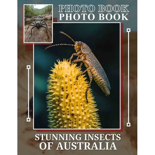 Stunning Insects Of Australia Photo Book: Explore Nature's MarvelsWith 40 Incredible Insect Images From Australia For Enthusiasts
