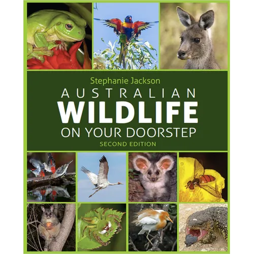 Australian Wildlife on Your Doorstep