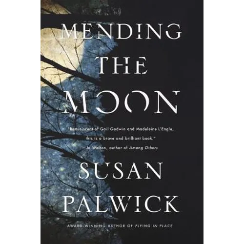 Mending the Moon